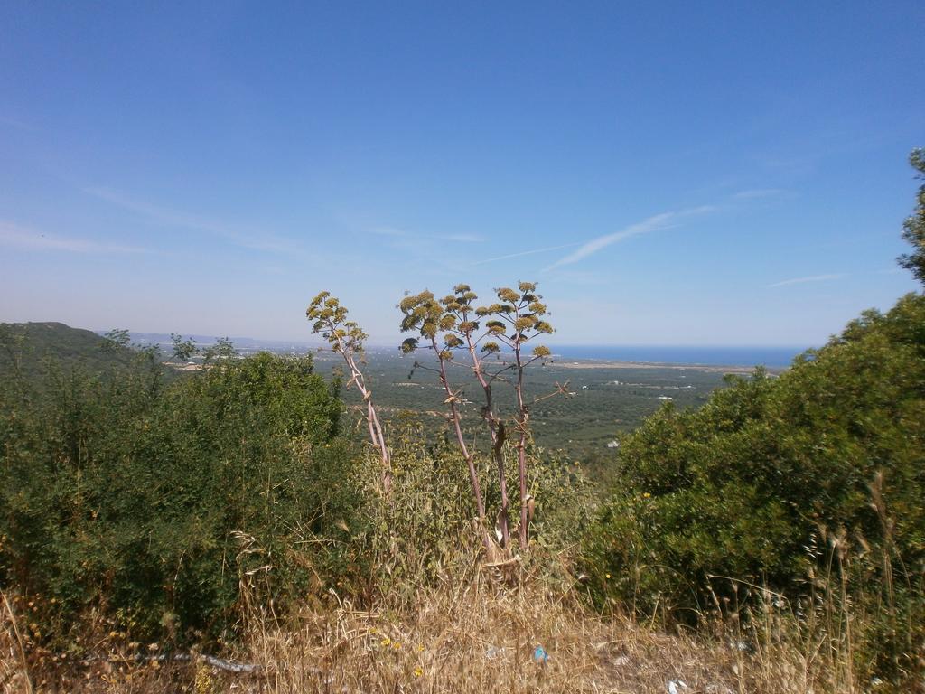 Trullo Villa Giuliana Con Giardino Posizione Panoramica Free Wifi Ostuni Cameră foto