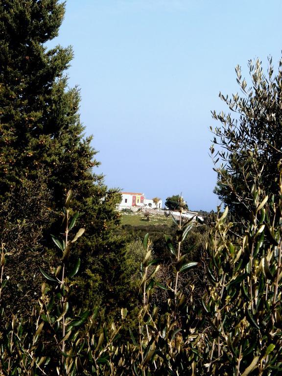 Trullo Villa Giuliana Con Giardino Posizione Panoramica Free Wifi Ostuni Cameră foto